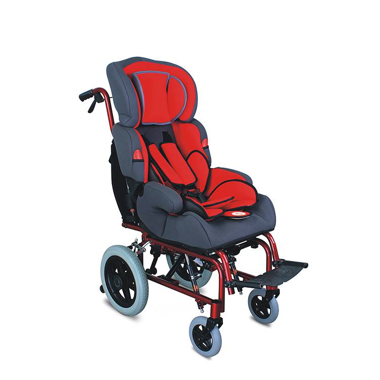 What Additional Assistance May Be Needed After Choosing A Wheelchair